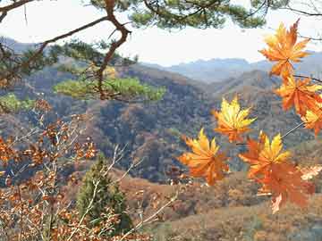 节能与新能源汽车年鉴,节能与新能源汽车年鉴2020电子版